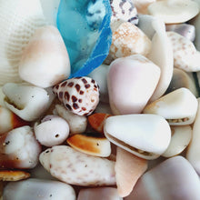 Load image into Gallery viewer, CONTACT US TO RECREATE THIS SOLD OUT STYLE Custom Heart &amp; Fiji Shell Bangle - 925 Sterling Silver FJD$ - Adorn Pacific - Bracelets
