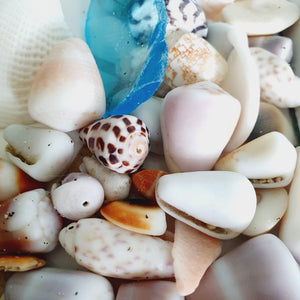 CONTACT US TO RECREATE THIS SOLD OUT STYLE Custom Heart & Fiji Shell Bangle - 925 Sterling Silver FJD$ - Adorn Pacific - Bracelets