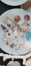Load image into Gallery viewer, CONTACT US TO RECREATE THIS SOLD OUT STYLE Custom Heart &amp; Fiji Shell Bangle - 925 Sterling Silver FJD$ - Adorn Pacific - Bracelets
