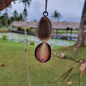CONTACT US TO RECREATE THIS SOLD OUT STYLE Double Cowrie Shell Bezel Set Necklace - 925 Sterling Silver FJD$ - Adorn Pacific - Necklaces
