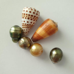 CONTACT US TO RECREATE THIS SOLD OUT STYLE Fiji Pearl and Shell Cuff - 14k Gold Filled - FJD$ - Adorn Pacific - Bracelets