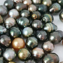 Load image into Gallery viewer, CONTACT US TO RECREATE THIS SOLD OUT STYLE Fiji Pearl and Shell Cuff - 14k Gold Filled - FJD$ - Adorn Pacific - Bracelets

