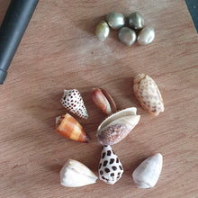 Load image into Gallery viewer, CONTACT US TO RECREATE THIS SOLD OUT STYLE Fiji Pearl and Shell Cuff - 14k Gold Filled - FJD$ - Adorn Pacific - Bracelets
