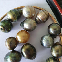 Load image into Gallery viewer, CONTACT US TO RECREATE THIS SOLD OUT STYLE Fiji Pearl Cuff - 14k Gold Filled FJD$ - Adorn Pacific - Bracelets

