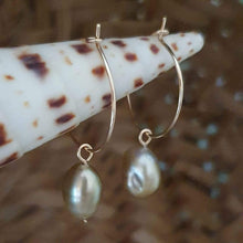Load image into Gallery viewer, CONTACT US TO RECREATE THIS SOLD OUT STYLE Fiji Pearl Hoop Earrings - 14k Gold Fill FJD$ - Adorn Pacific - Earrings
