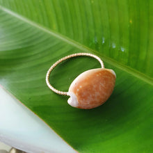 Load image into Gallery viewer, CONTACT US TO RECREATE THIS SOLD OUT STYLE Fiji Shell Ring - 14k Gold Filled FJD$ - Adorn Pacific - Rings
