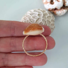 Load image into Gallery viewer, CONTACT US TO RECREATE THIS SOLD OUT STYLE Fiji Shell Ring - 14k Gold Filled FJD$ - Adorn Pacific - Rings

