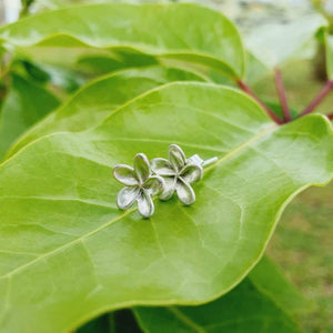 CONTACT US TO RECREATE THIS SOLD OUT STYLE Frangipani Stud Earrings - 925 Sterling Silver - FJD$ - Adorn Pacific - Earrings