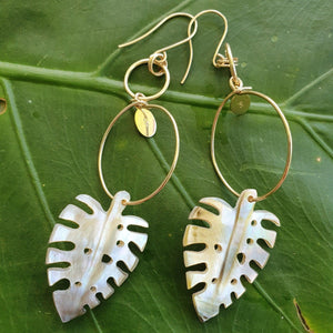 CONTACT US TO RECREATE THIS SOLD OUT STYLE Monstera Fiji Mother of Pearl Earrings 14k Gold Filled - FJD$ - Adorn Pacific - Earrings