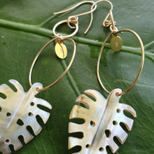 Load image into Gallery viewer, CONTACT US TO RECREATE THIS SOLD OUT STYLE Monstera Fiji Mother of Pearl Earrings 14k Gold Filled - FJD$ - Adorn Pacific - Earrings
