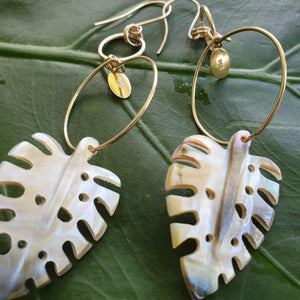 CONTACT US TO RECREATE THIS SOLD OUT STYLE Monstera Fiji Mother of Pearl Earrings 925 Sterling Silver - FJD$ - Adorn Pacific - Earrings