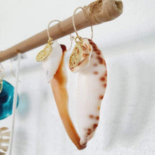 Load image into Gallery viewer, CONTACT US TO RECREATE THIS SOLD OUT STYLE Nautilus &amp; Tumbled Shell Earrings - 14k Gold Filled FJD$ - Adorn Pacific - Earrings
