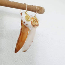 Load image into Gallery viewer, CONTACT US TO RECREATE THIS SOLD OUT STYLE Nautilus &amp; Tumbled Shell Earrings - 14k Gold Filled FJD$ - Adorn Pacific - Earrings
