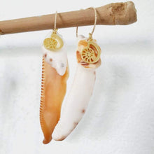 Load image into Gallery viewer, CONTACT US TO RECREATE THIS SOLD OUT STYLE Nautilus &amp; Tumbled Shell Earrings - 14k Gold Filled FJD$ - Adorn Pacific - Earrings
