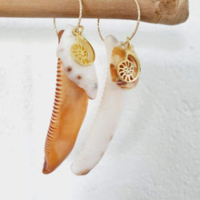 Load image into Gallery viewer, CONTACT US TO RECREATE THIS SOLD OUT STYLE Nautilus &amp; Tumbled Shell Earrings - 14k Gold Filled FJD$ - Adorn Pacific - Earrings
