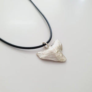 CONTACT US TO RECREATE THIS SOLD OUT STYLE Shark Tooth Necklace - 925 Sterling Silver & 14k Gold Fill Chain or Black Wax Cord FJD$ - Adorn Pacific - Necklaces