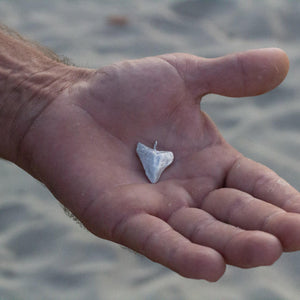 CONTACT US TO RECREATE THIS SOLD OUT STYLE Shark Tooth Necklace - 925 Sterling Silver FJD$ - Adorn Pacific - Necklaces