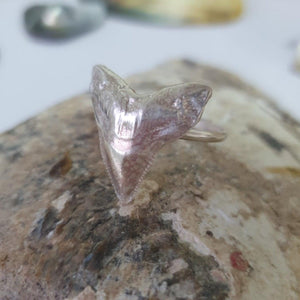 CONTACT US TO RECREATE THIS SOLD OUT STYLE Shark Tooth Ring UNISEX - 925 Sterling Silver FJD$ - Adorn Pacific - Rings