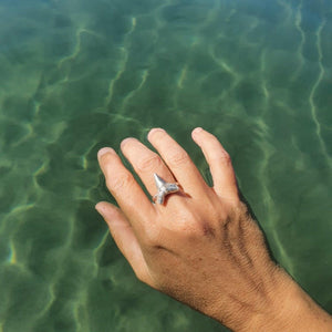 CONTACT US TO RECREATE THIS SOLD OUT STYLE Shark Tooth Ring UNISEX - 925 Sterling Silver FJD$ - Adorn Pacific - Rings