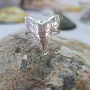 CONTACT US TO RECREATE THIS SOLD OUT STYLE Shark Tooth Ring UNISEX - 925 Sterling Silver FJD$ - Adorn Pacific - Rings
