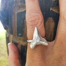 Load image into Gallery viewer, CONTACT US TO RECREATE THIS SOLD OUT STYLE Shark Tooth Ring UNISEX - 925 Sterling Silver FJD$ - Adorn Pacific - Rings
