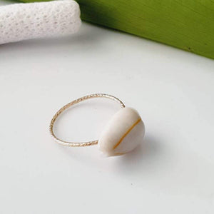 CONTACT US TO RECREATE THIS SOLD OUT STYLE Textured Cowrie Shell Ring - 14k Gold Filled FJD$ - Adorn Pacific - Rings