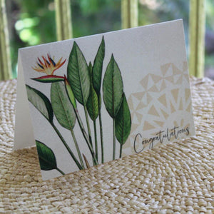 Greeting Cards by Island Inspired - FJD$ - Adorn Pacific - Greeting & Note Cards