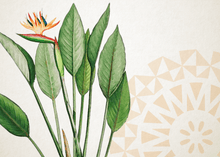 Load image into Gallery viewer, Greeting Cards by Island Inspired - FJD$ - Adorn Pacific - Greeting &amp; Note Cards
