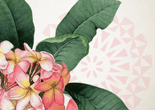 Load image into Gallery viewer, Greeting Cards by Island Inspired - FJD$ - Adorn Pacific - Greeting &amp; Note Cards
