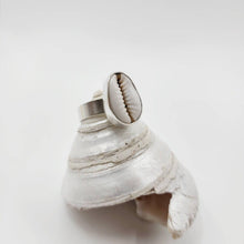 Load image into Gallery viewer, MADE TO ORDER - Bezel Set Cowrie Shell Adjustable Ring - 925 Sterling Silver FJD$ - Adorn Pacific - Rings
