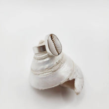 Load image into Gallery viewer, MADE TO ORDER - Bezel Set Cowrie Shell Adjustable Ring - 925 Sterling Silver FJD$ - Adorn Pacific - Rings
