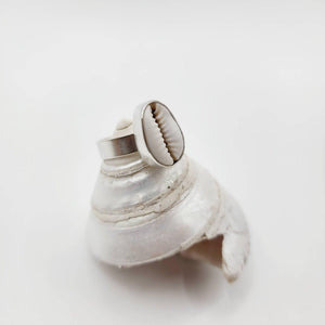 MADE TO ORDER - Bezel Set Cowrie Shell Adjustable Ring - 925 Sterling Silver FJD$ - Adorn Pacific - Rings