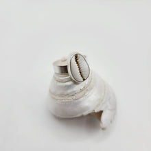 Load image into Gallery viewer, MADE TO ORDER - Bezel Set Cowrie Shell Adjustable Ring - 925 Sterling Silver FJD$ - Adorn Pacific - Rings
