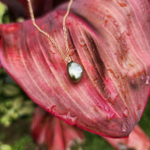 READY TO SHIP Civa Fiji Saltwater Pearl Necklace - 14k Gold Fill FJD$ - Adorn Pacific - All Products