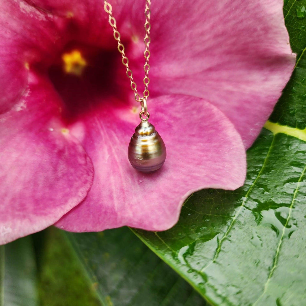 READY TO SHIP Civa Fiji Saltwater Pearl Necklace - 14k Gold Fill FJD$ - Adorn Pacific - All Products