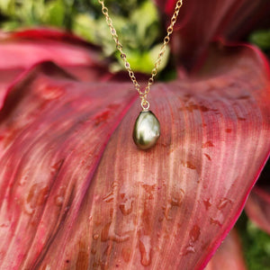 READY TO SHIP Civa Fiji Saltwater Pearl Necklace - 14k Gold Fill FJD$ - Adorn Pacific - All Products