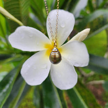 Load image into Gallery viewer, READY TO SHIP Civa Fiji Saltwater Pearl Necklace - 14k Gold Fill FJD$ - Adorn Pacific - All Products
