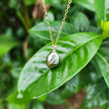 Load image into Gallery viewer, READY TO SHIP Civa Fiji Saltwater Pearl Necklace - 14k Gold Fill FJD$ - Adorn Pacific - All Products
