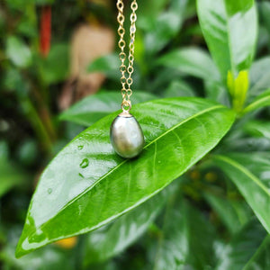 READY TO SHIP Civa Fiji Saltwater Pearl Necklace - 14k Gold Fill FJD$ - Adorn Pacific - All Products