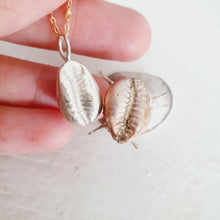Load image into Gallery viewer, READY TO SHIP - Cowrie Shell Necklace - 925 Sterling Silver &amp; 14k Gold Fill Chain FJD$ - Adorn Pacific - Necklaces
