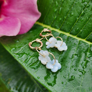 READY TO SHIP Huggie Drop Earrings with Mother of Pearl Flowers - 14k Gold Fill FJD$ - Adorn Pacific - Earrings