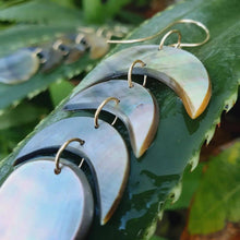Load image into Gallery viewer, READY TO SHIP Mother of Pearl Tribal Earrings - 14k Gold Fill FJD$ - Adorn Pacific - Earrings
