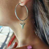 READY TO SHIP - Shark Tooth Earrings - 925 Sterling Silver FJD$