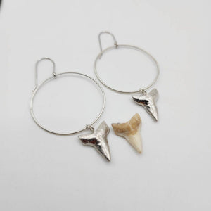 MADE TO ORDER - Shark Tooth Earrings - 925 Sterling Silver FJD$ - Adorn Pacific - All Products