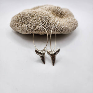 CONTACT US TO RECREATE THIS SOLD OUT STYLE Shark Tooth Earrings - 925 Sterling Silver FJD$ - Adorn Pacific - Earrings