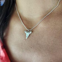 Load image into Gallery viewer, READY TO SHIP Shark Tooth Necklace - 925 Sterling Silver FJD$

