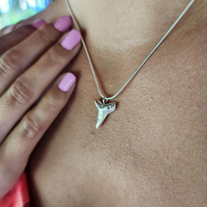 READY TO SHIP Shark Tooth Necklace - 925 Sterling Silver FJD$