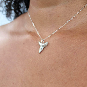 READY TO SHIP - Shark Tooth Necklace - 925 Sterling Silver FJD$ - Adorn Pacific - Necklaces