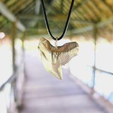 Load image into Gallery viewer, READY TO SHIP Shark Tooth Necklace - Black Cord FJD$ - Adorn Pacific - Necklaces
