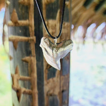 Load image into Gallery viewer, READY TO SHIP Shark Tooth Necklace - Black Cord FJD$ - Adorn Pacific - Necklaces
